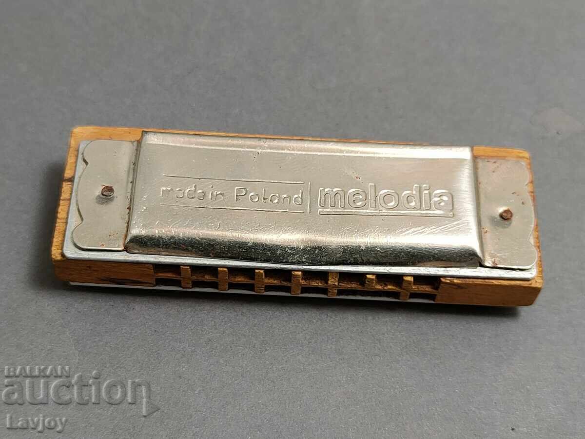 Аукцион Хармоника  Melodia Relaks mini