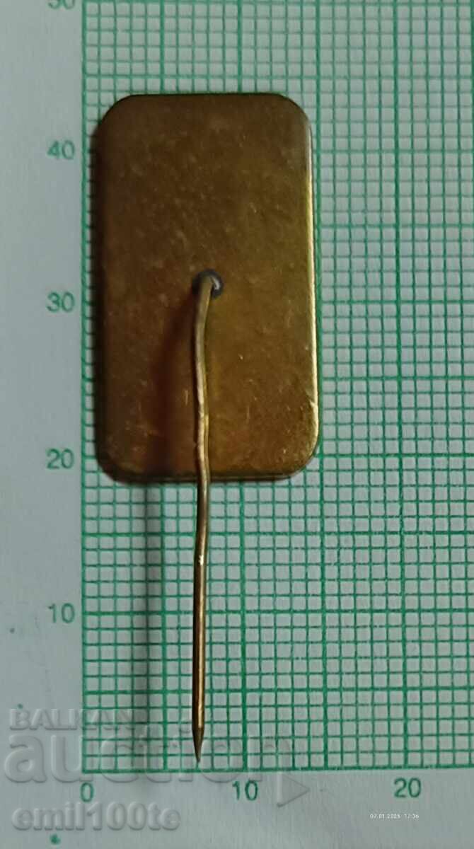 Ecuson - SBA Crucea Roșie - 5