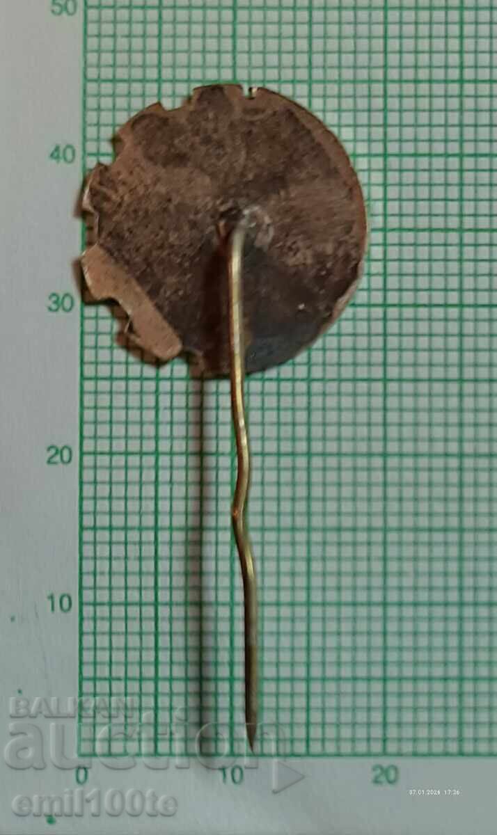 Доставка на Значка- НТС