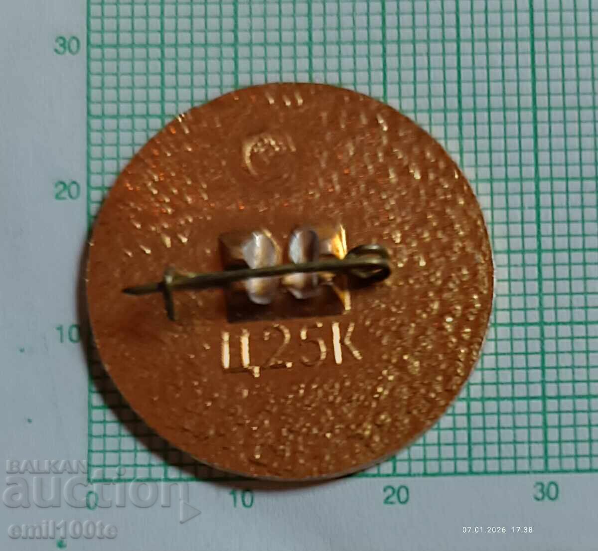 Badge - Veliko Tarnovo Poltava Twin Cities - 5