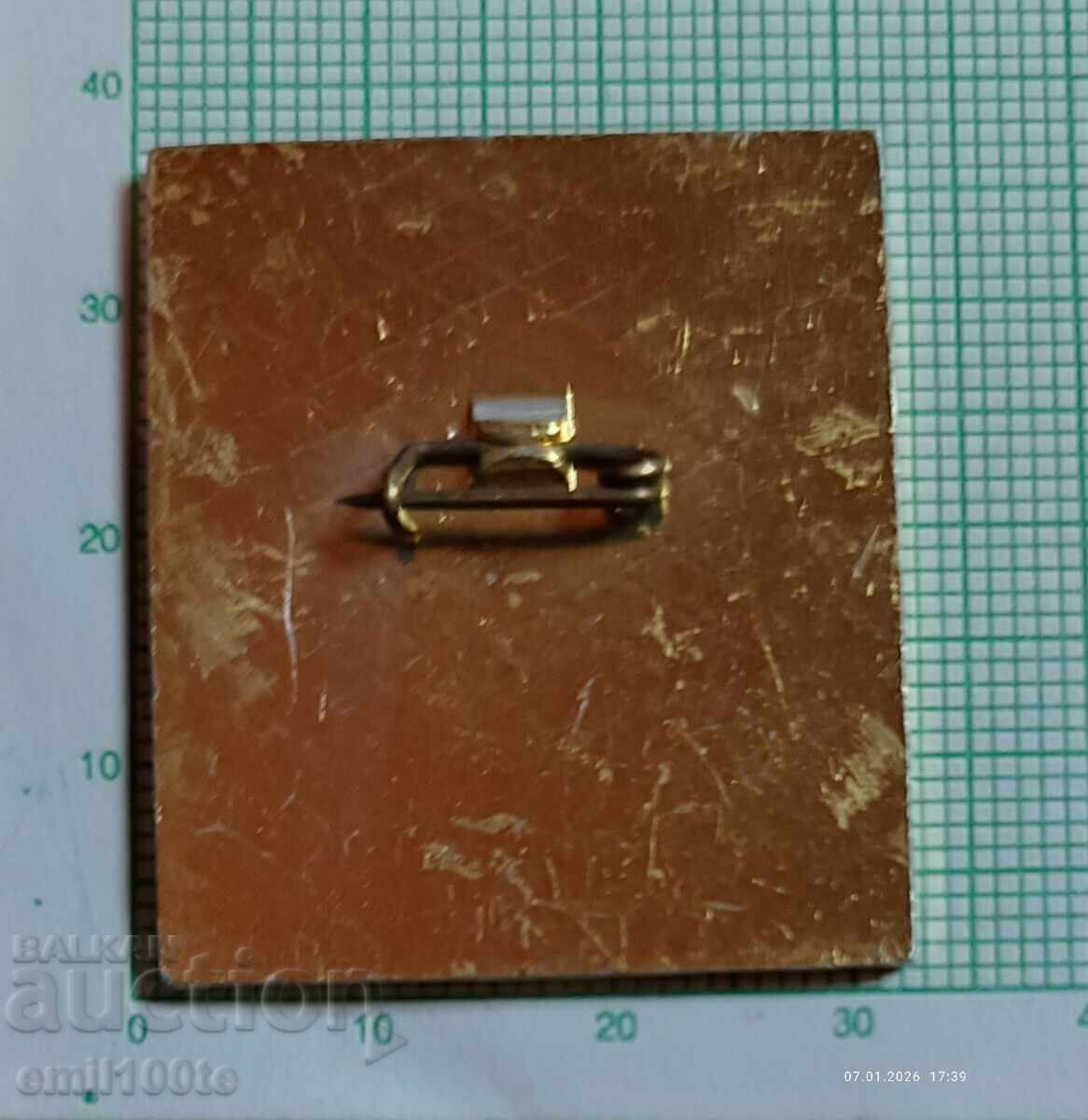 Значка- Федерация по ски България - 5