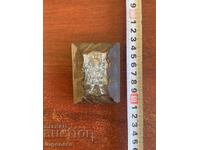 ΕΙΚΟΝΑ ΔΕΝΤΡΟΥ