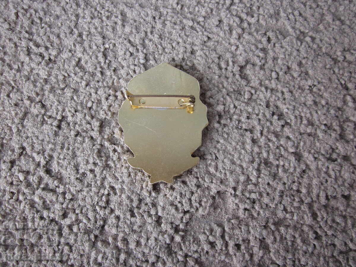 Τσεχοσλοβακία στρατιωτικό σήμα στρατιωτικό έμβλημα από την κομμουνισμό - 5