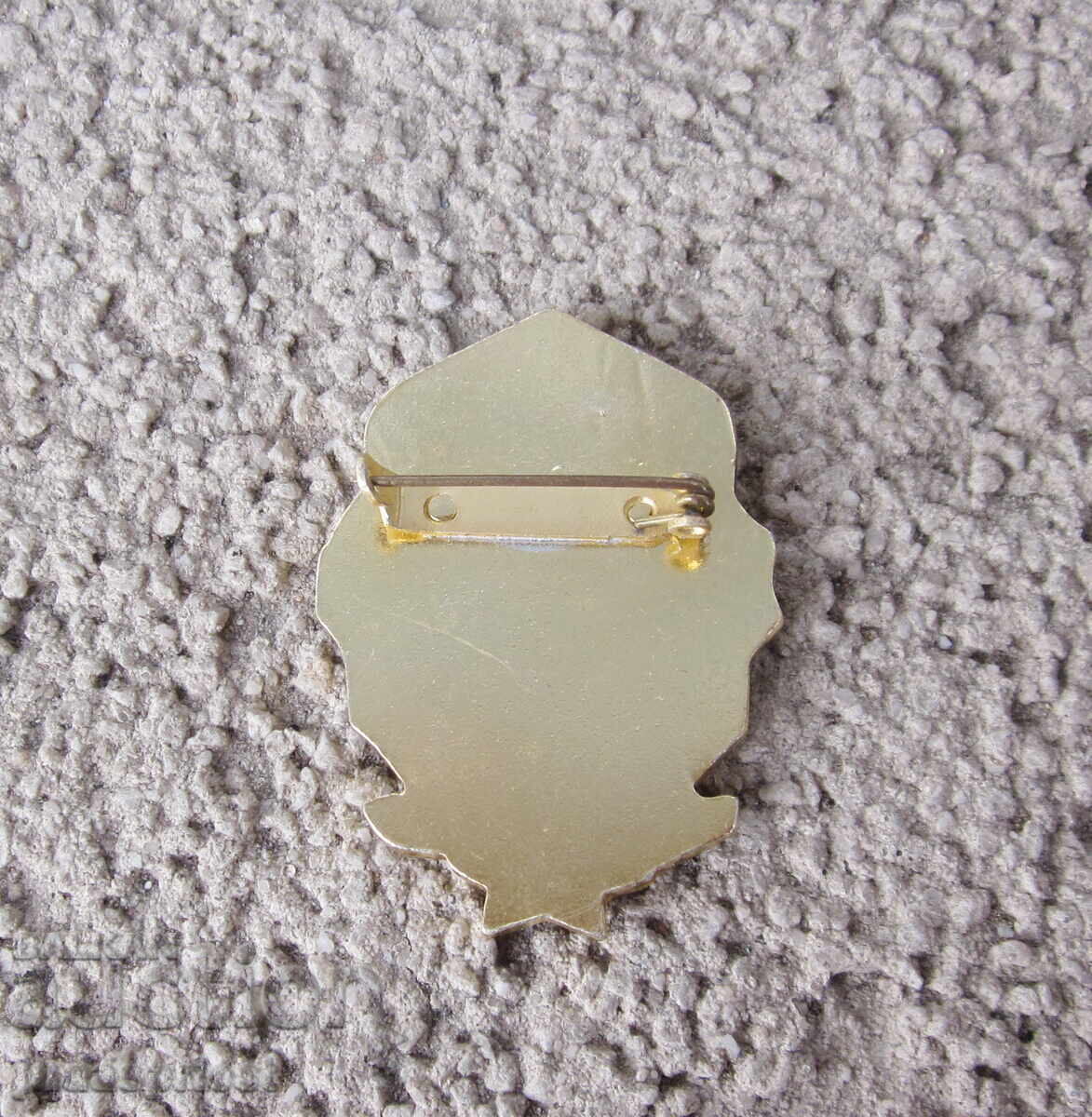 Τσεχοσλοβακία στρατιωτικό σήμα στρατιωτικό έμβλημα από την κομμουνισμό - 6