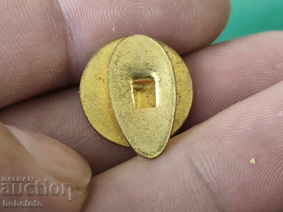 Emblemă cu email Chevrolet cu preț € 10.00 | 19.56 BGN