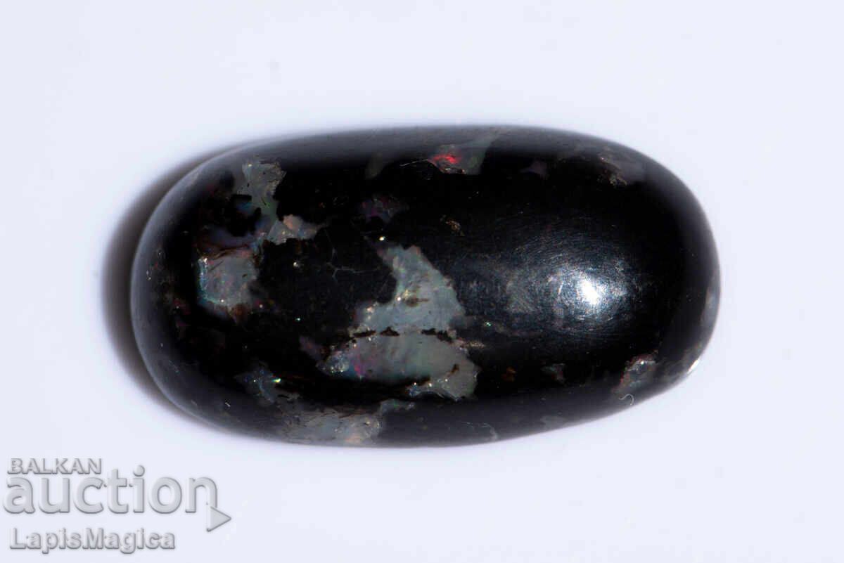 Licitație Lemn negru opalescent 10.68ct cabochon oval