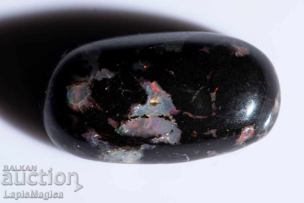 Lemn negru opalescent 10.68ct cabochon oval