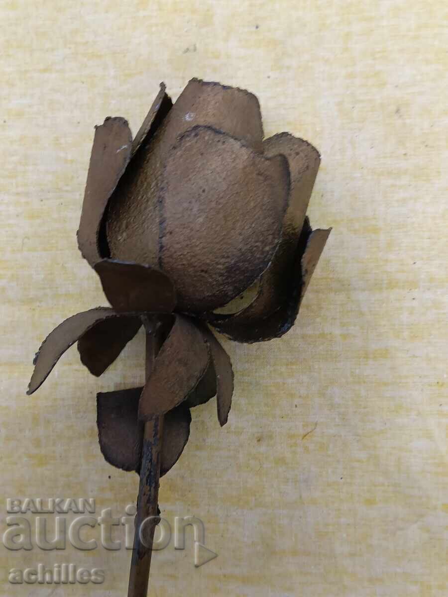 Желязно цвете с цена € 5.00 | 9.78 лв.