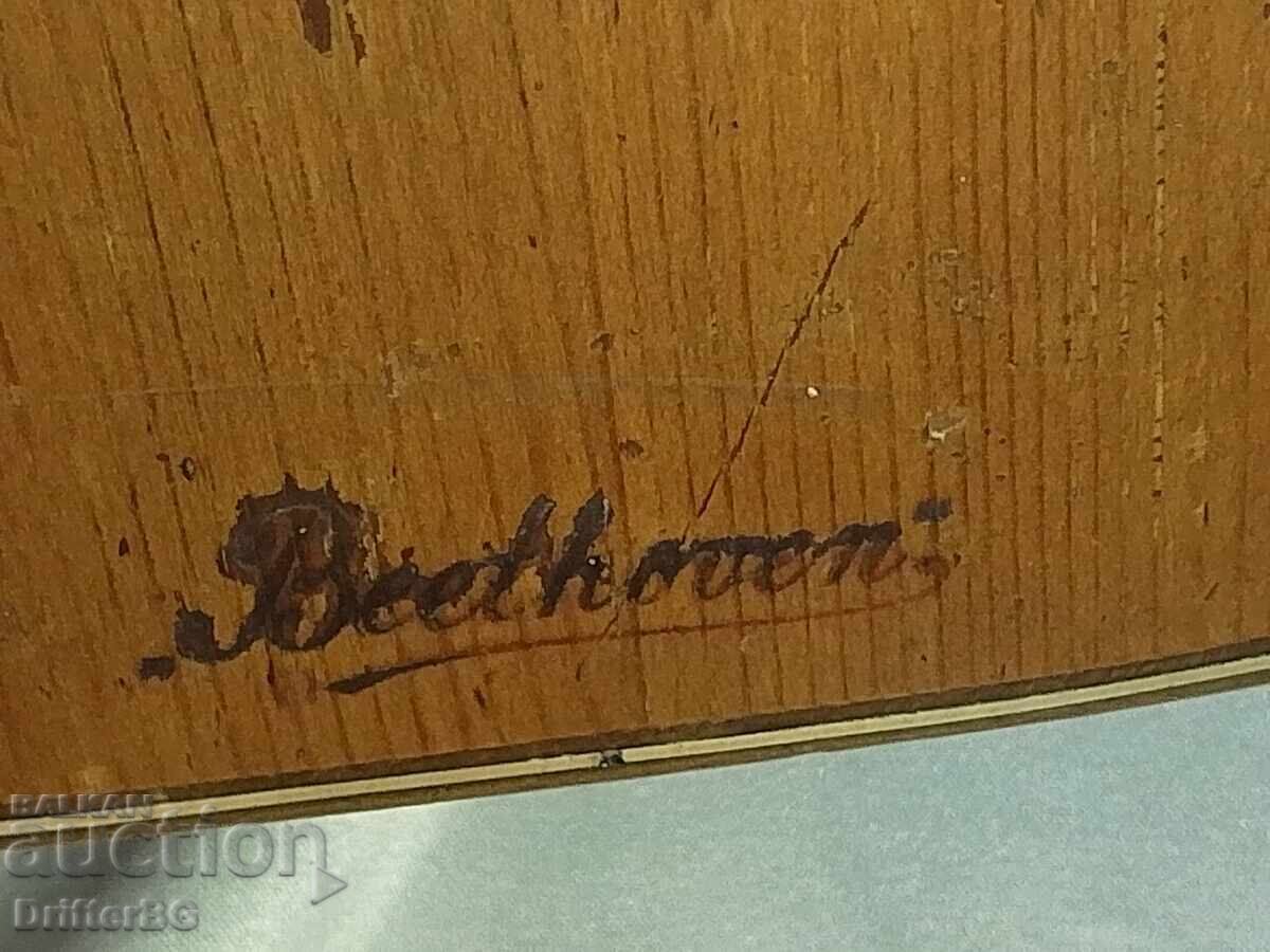 Стара китара „Beethoven“ - 7