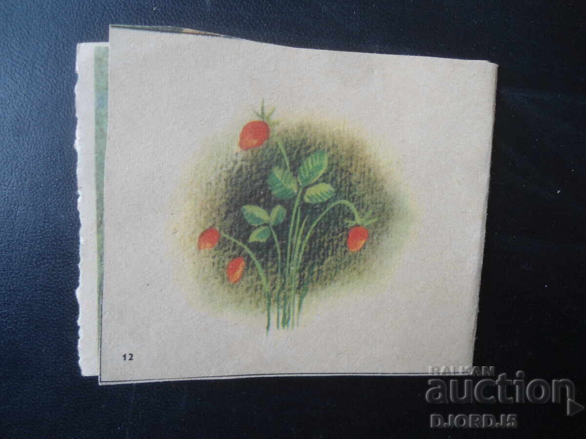 Όχι με τη βία, αλλά με το μυαλό - 6