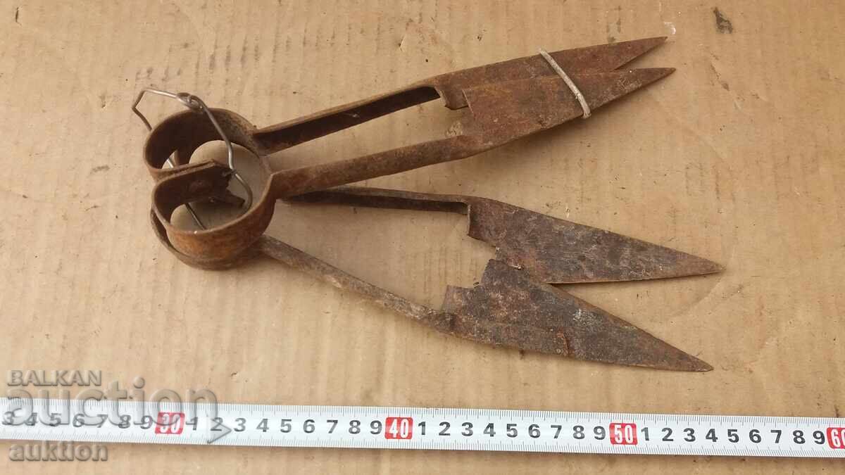 Auction OLD SHEEP SHEARS - WROUGHT IRON Auction OLD SHEEP SHEARS - WROUGHT IRON