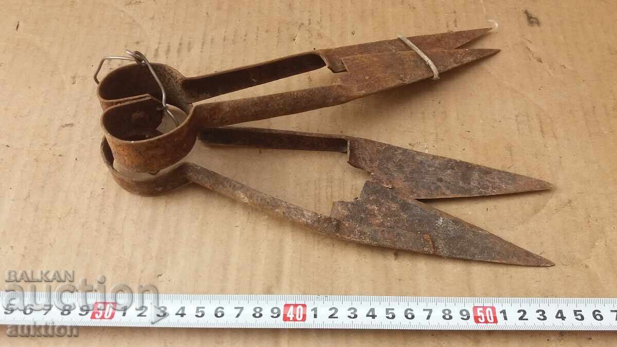 OLD SHEEP SHEARS - WROUGHT IRON - 6 OLD SHEEP SHEARS - WROUGHT IRON - 6