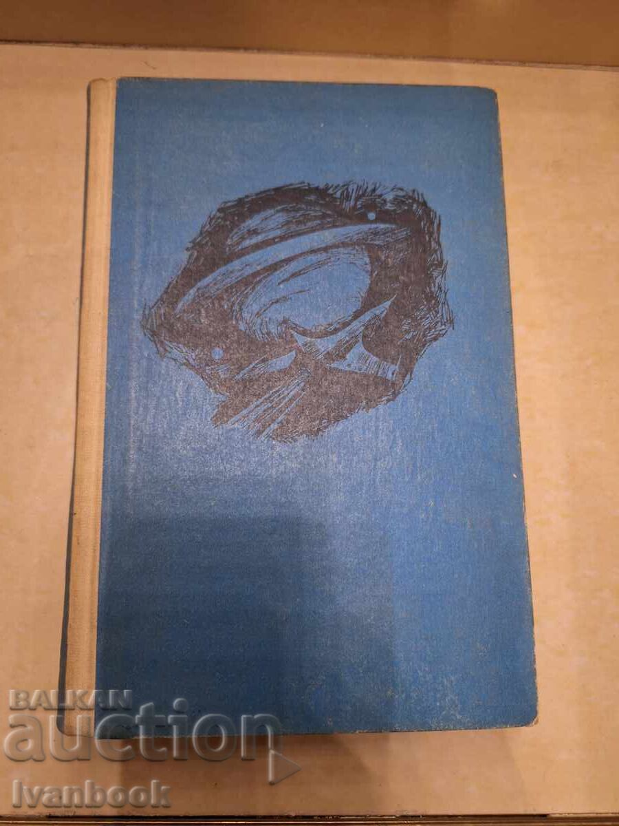 B- ka Lectură pentru adolescenți - Oaspeți din Mion