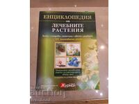 Encyclopedia of Medicinal Plants