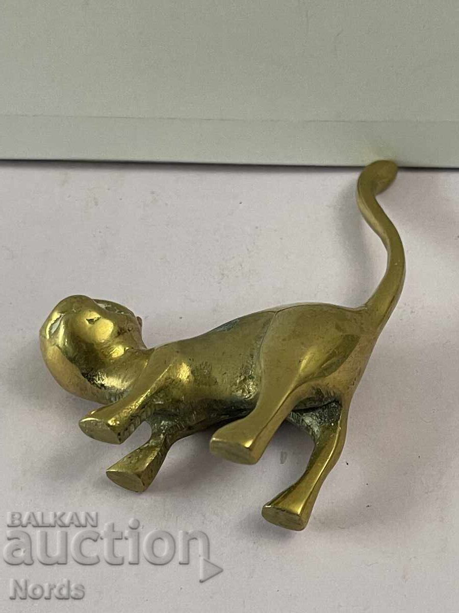 Livrarea Pisicuță de alamă Livrarea Pisicuță de alamă