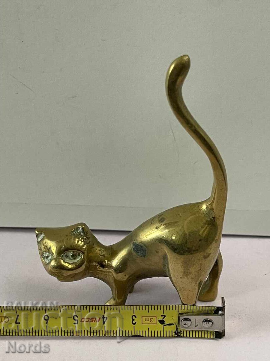 Pisicuță de alamă - 5 Pisicuță de alamă - 5