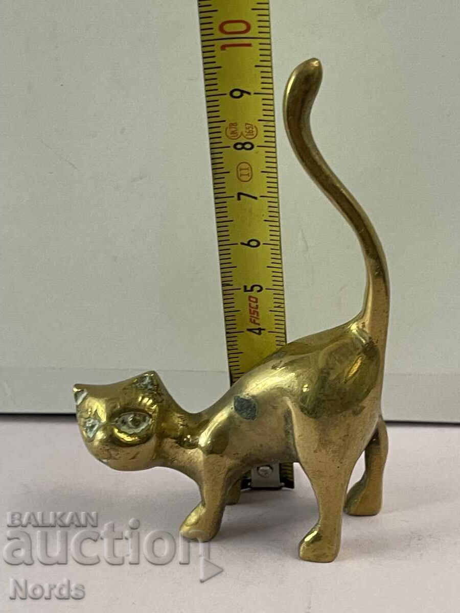 Pisicuță de alamă - 6 Pisicuță de alamă - 6