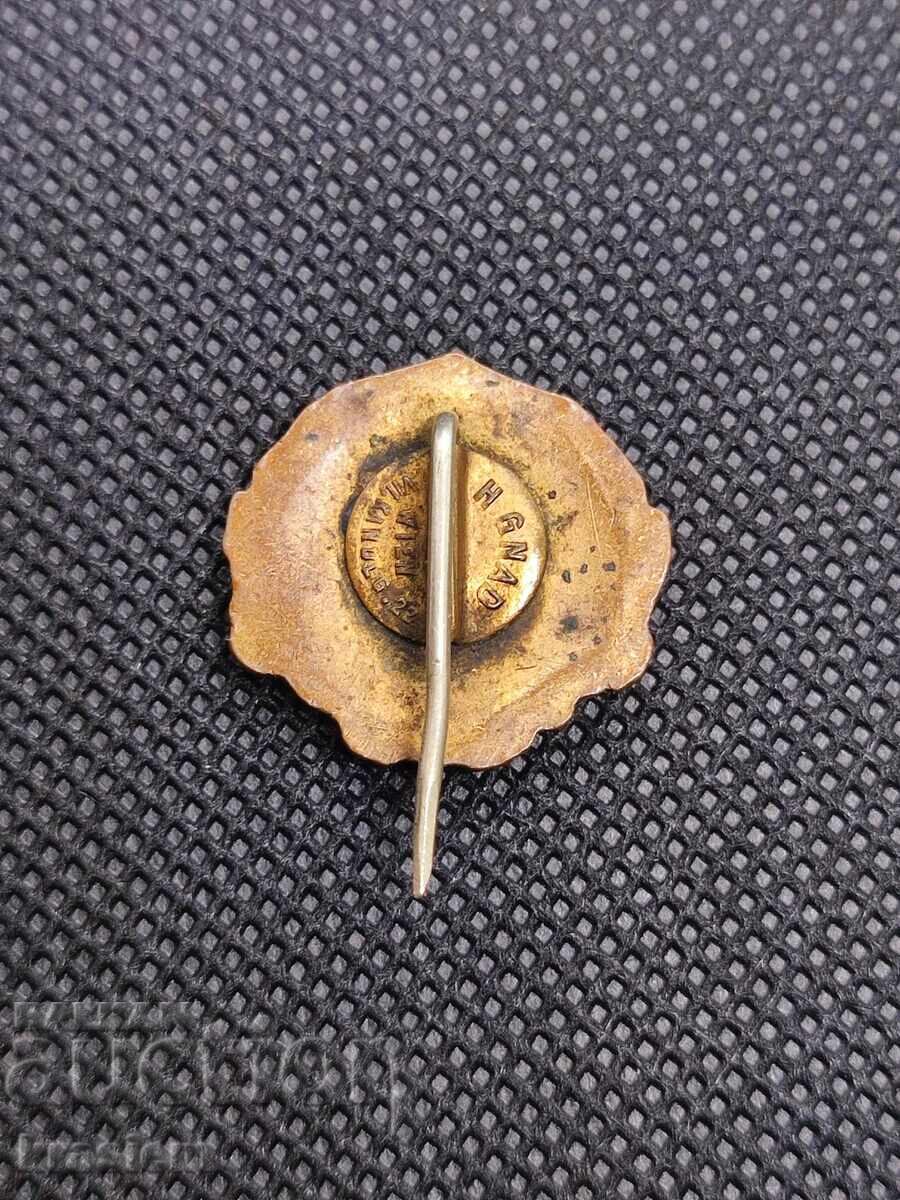 Σπάνιο σήμα Μακεδονικής νεολαίας ένωσης - 5