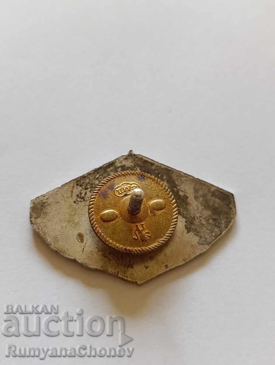 Licitație Semn, insignă 20 de ani de muncă devotată BGA