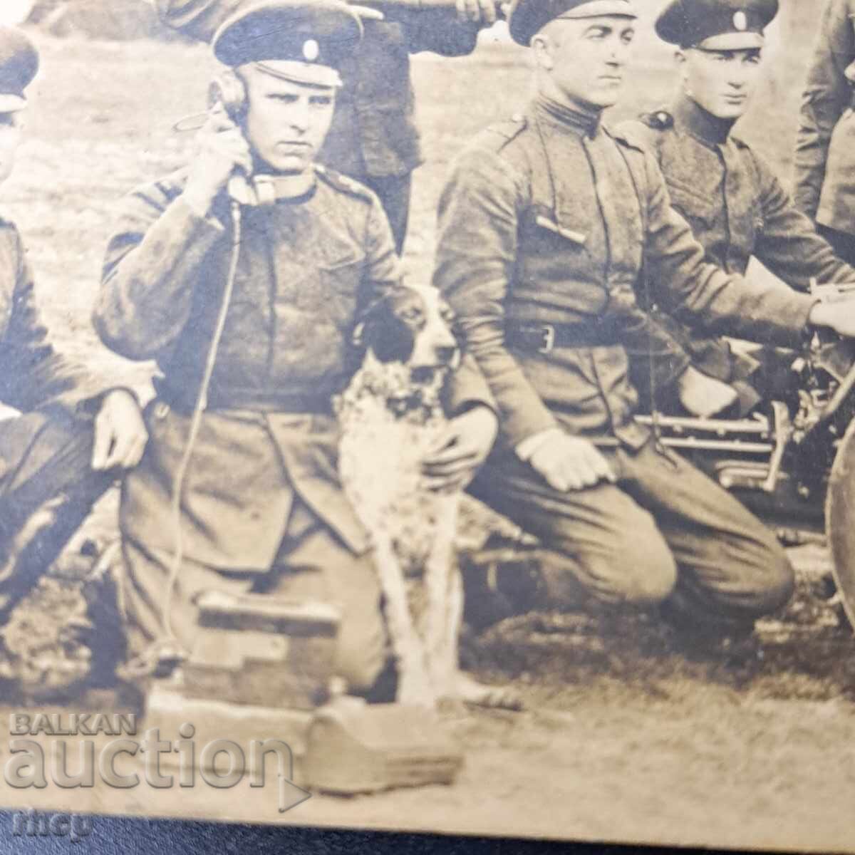Στρατιώτες όπλο κυνηγόσκυλο 1930 φωτογραφία Βασίλειο της Βουλγαρίας με τιμή € 5.70 | 11.15 BGN
