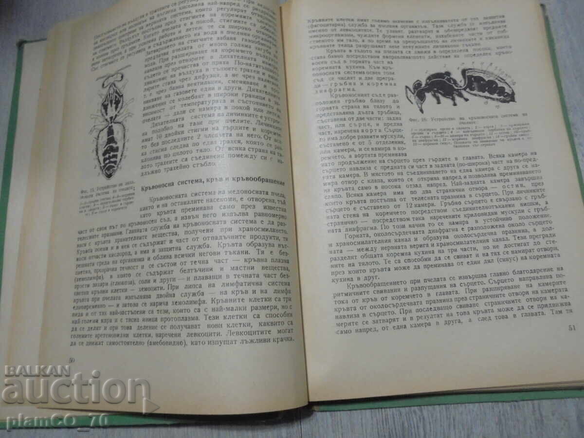 Δημοπρασία №*8432 παλιό βιβλίο "Μελισσοκομία" Δημοπρασία №*8432 παλιό βιβλίο "Μελισσοκομία"