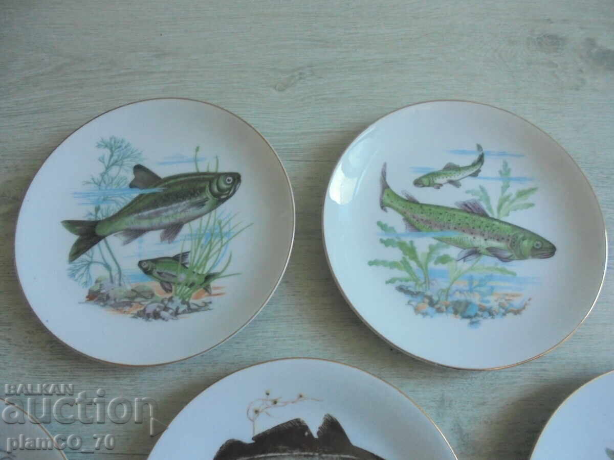 №*8433 Σετ από 7 πορσελάνινα πιάτα με εικονογραφήσεις ψαριών με τιμή € 24.90 | 48.70 BGN №*8433 Σετ από 7 πορσελάνινα πιάτα με εικονογραφήσεις ψαριών με τιμή € 24.90 | 48.70 BGN