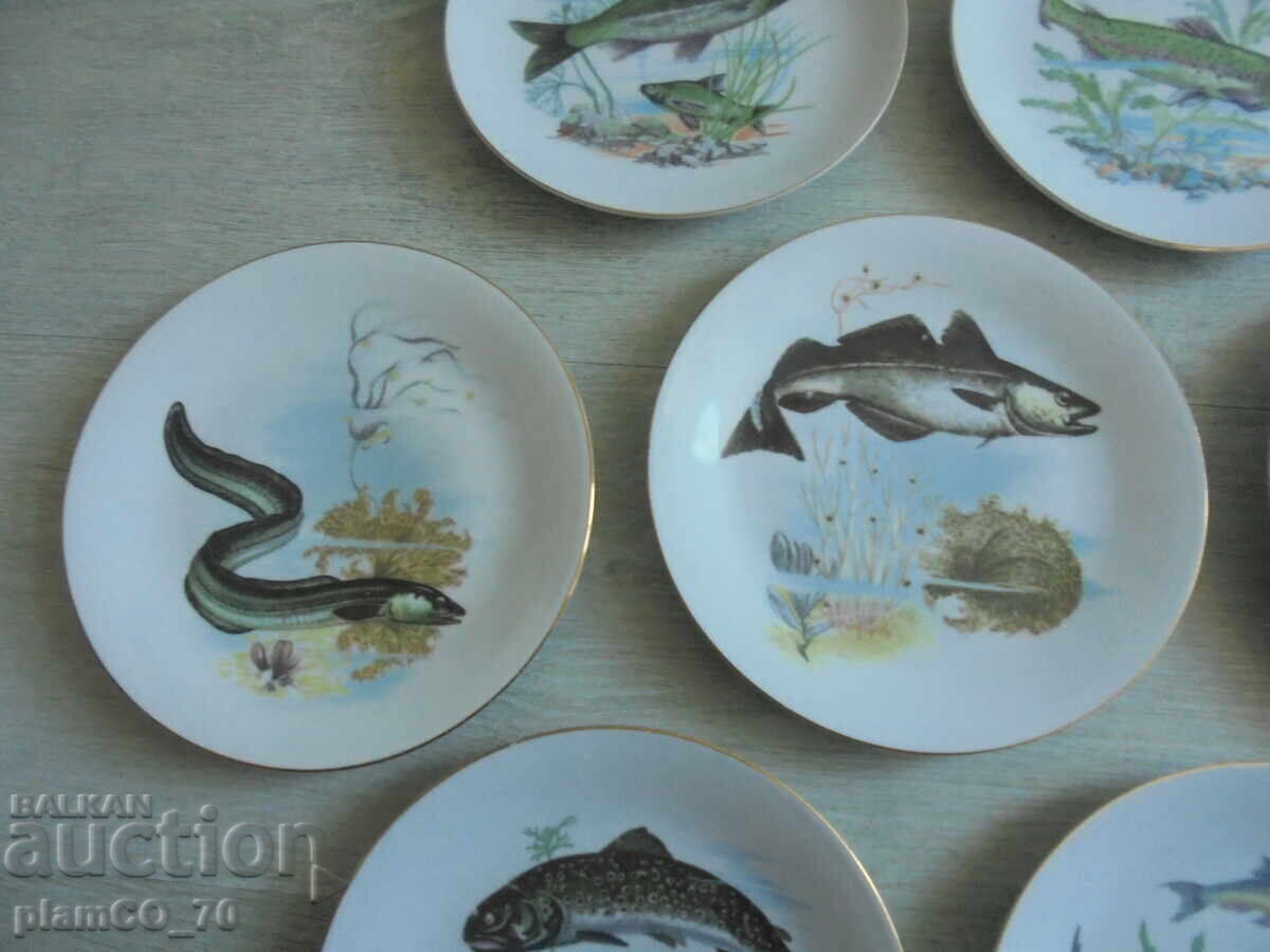 Δημοπρασία №*8433 Σετ από 7 πορσελάνινα πιάτα με εικονογραφήσεις ψαριών Δημοπρασία №*8433 Σετ από 7 πορσελάνινα πιάτα με εικονογραφήσεις ψαριών