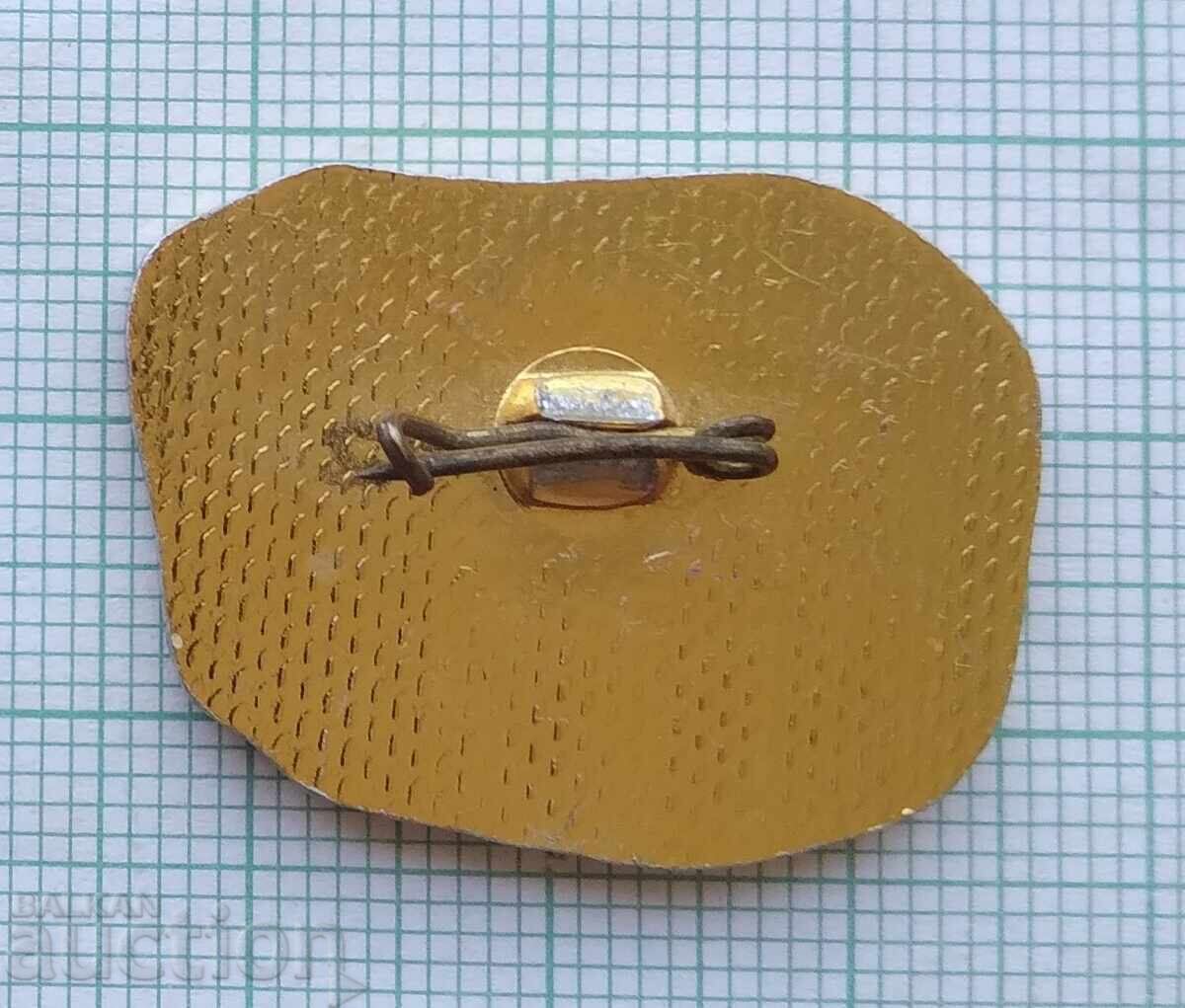 Аукцион 19391 Значка - Значка окръжен исторически музей Разград