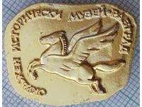 19391 Значка - Значка окръжен исторически музей Разград