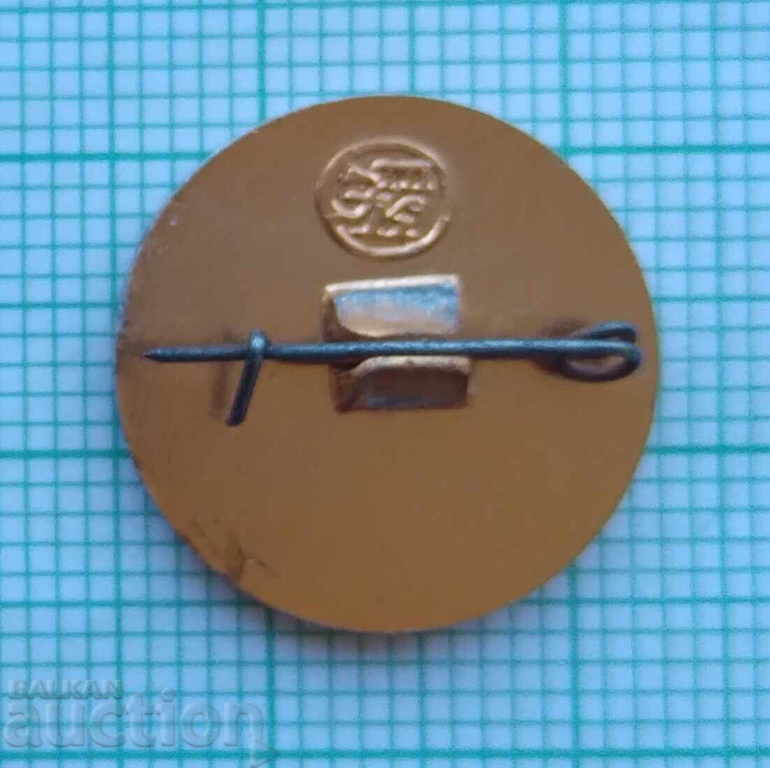 Licitație 19397 Insigne - radioamator