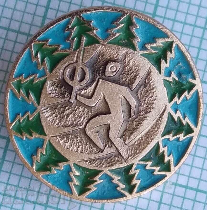 19397 Insigne - radioamator