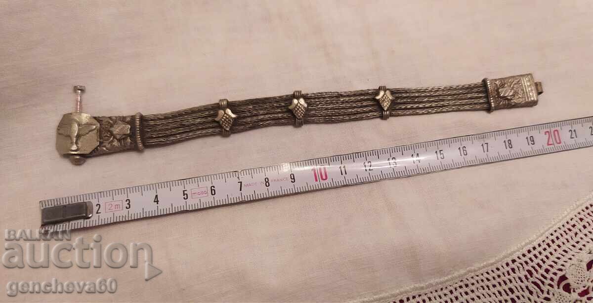 ΑΝΑΓΕΝΝΗΤΙΚΟ ΒΡΑΧΙΟΛΙ - σαχάν - 5