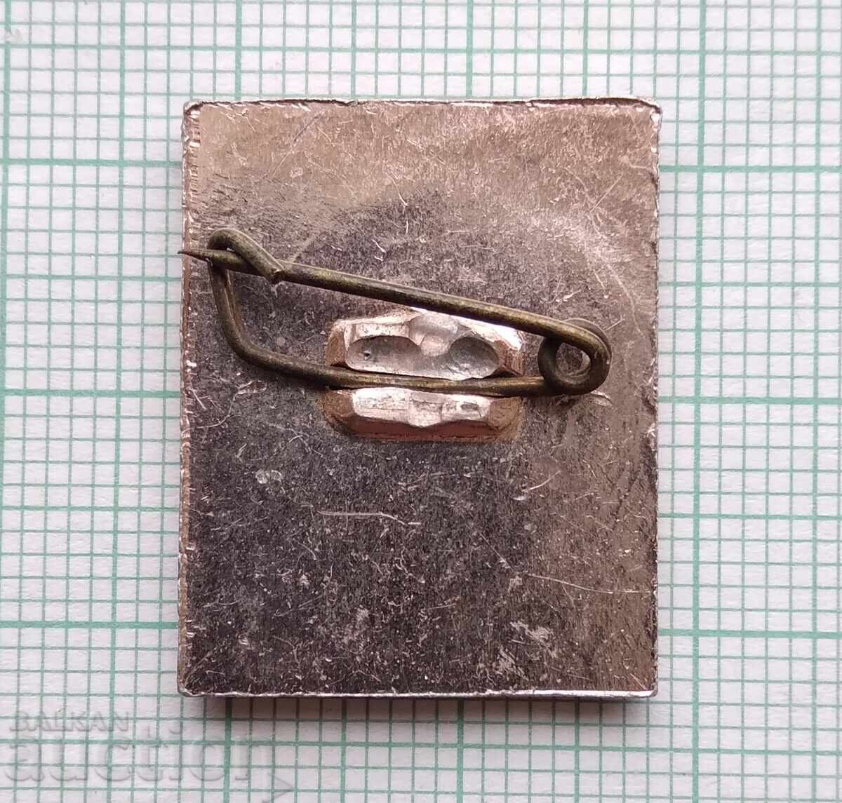 Licitație 19404 Insigna - Vrața