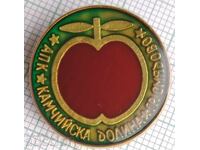 19407 Badges - APK Kamchiyska Dolina, Smyadovo