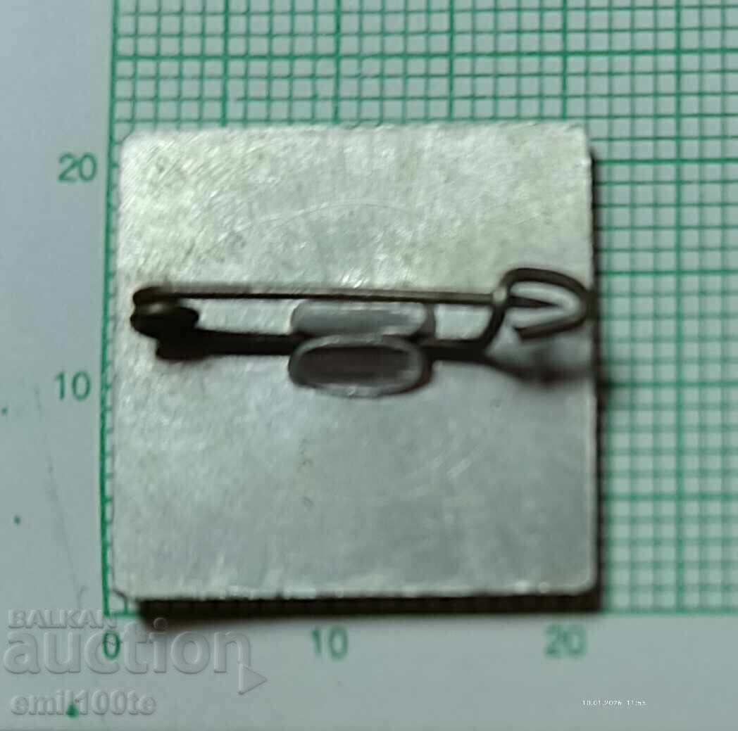 Livrarea Insigna - cabana Demyanitsa