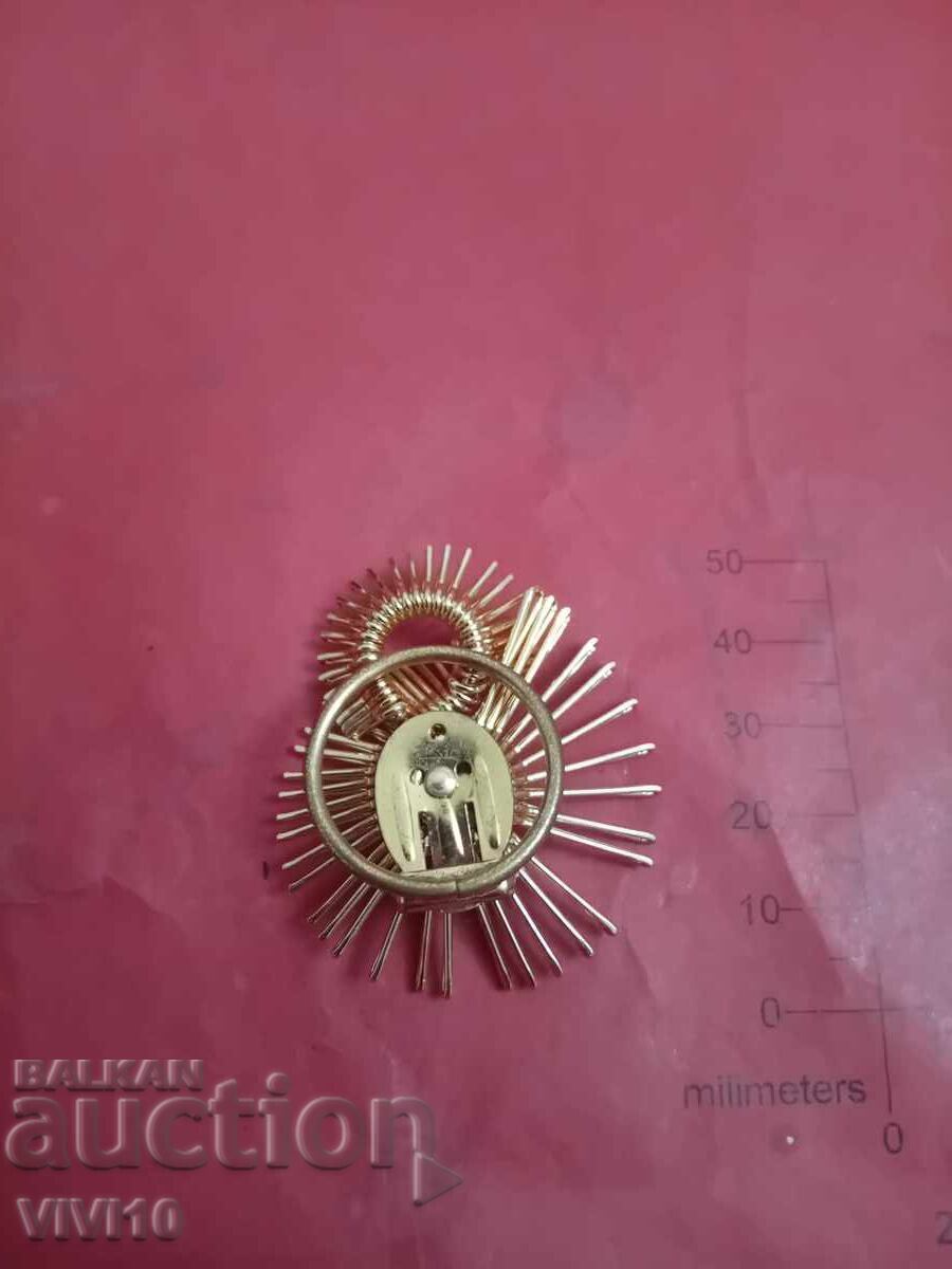 Δημοπρασία Αντίκα καρφίτσα με επιχρύσωση, κλιπς