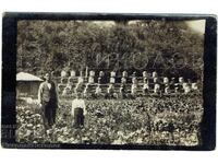 СТАРА СНИМКА ПЧЕЛИН КОШЕР МЕД ПЧЕЛНА ФЕРМА Е770