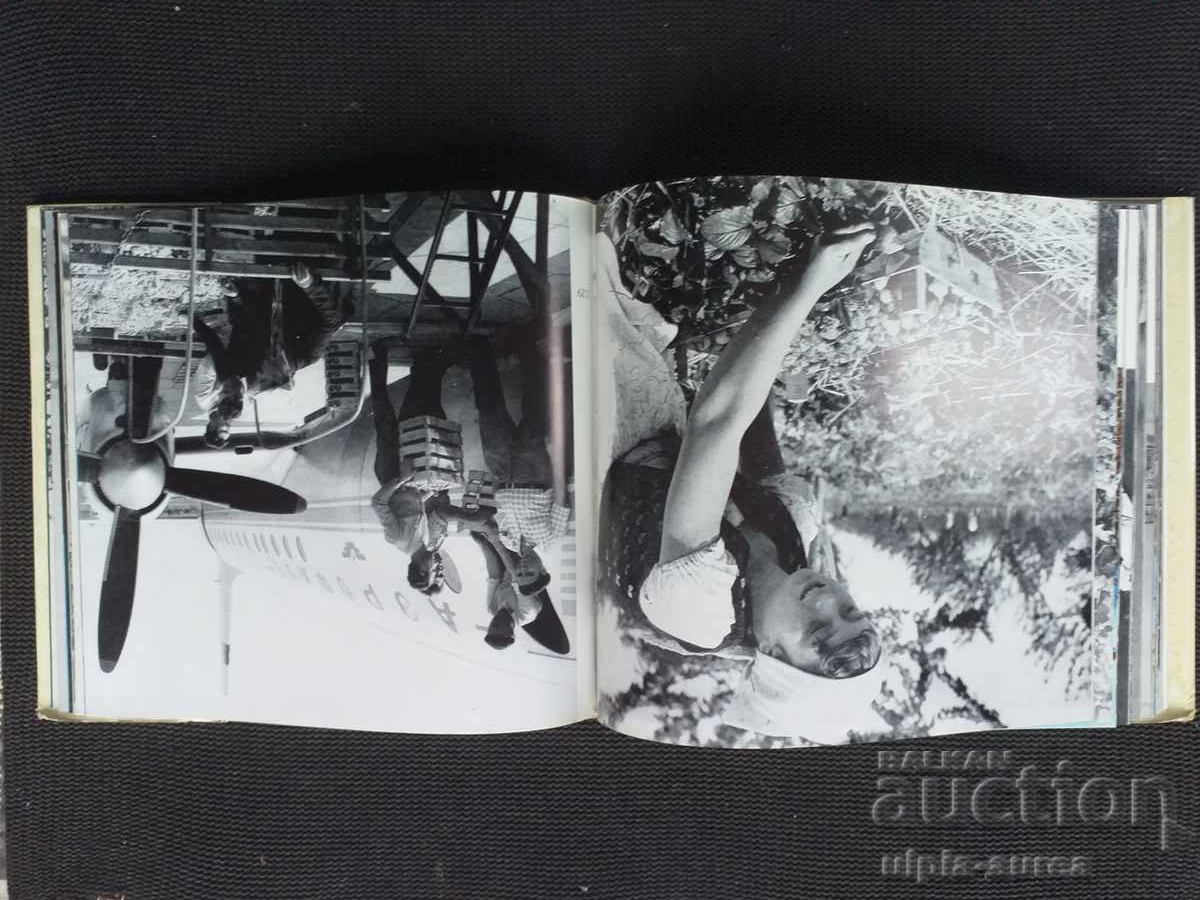 Аукцион От Ком до Дунава