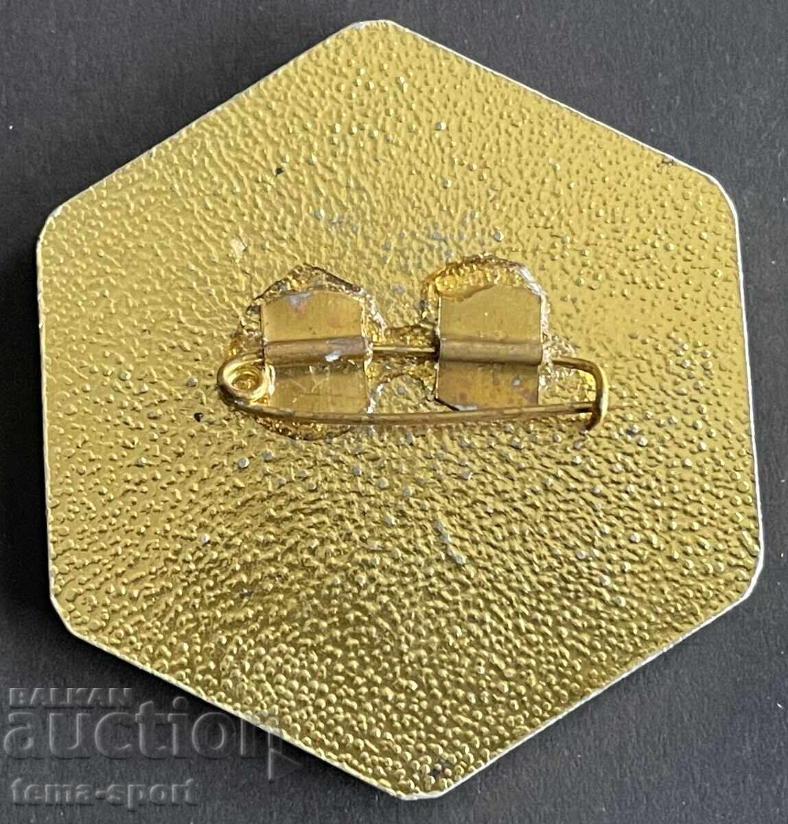 1797 България знак Европейска купа по ски Боровец 1980г. с цена € 2.50 | 4.89 лв. 1797 България знак Европейска купа по ски Боровец 1980г. с цена € 2.50 | 4.89 лв.