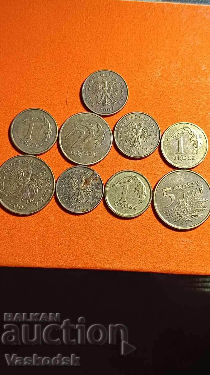 Παρτίδα Πολωνίας Παρτίδα Πολωνίας