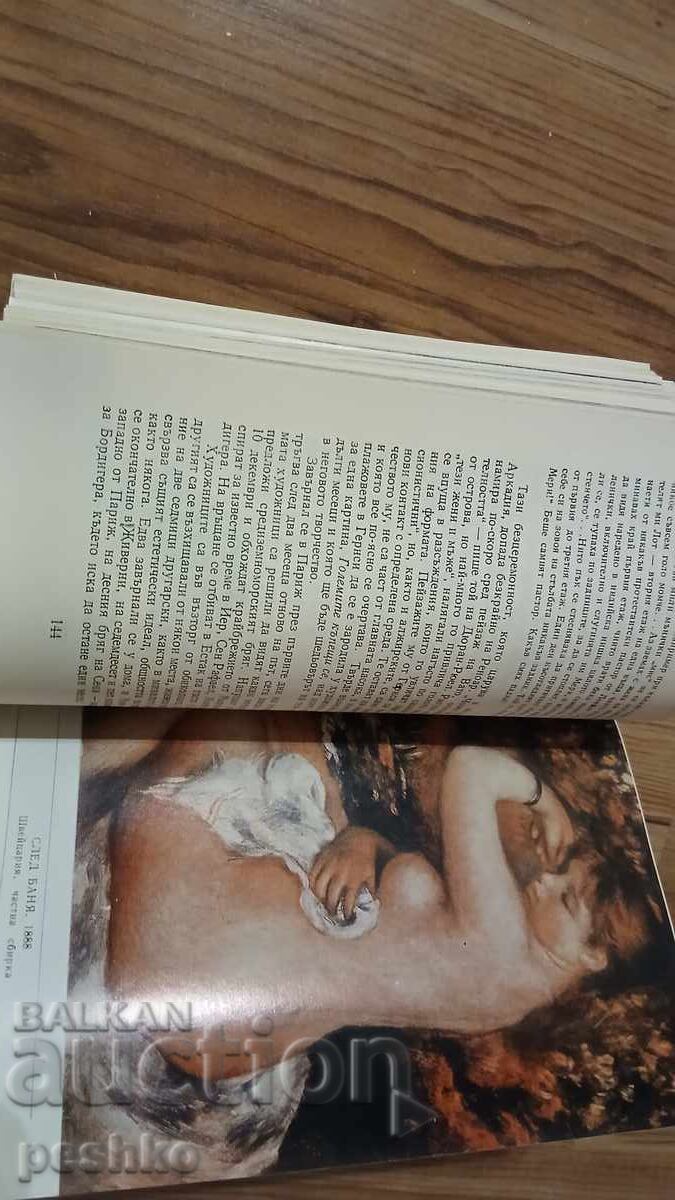 книга,Реноар с цена € 2.00 | 3.91 лв.