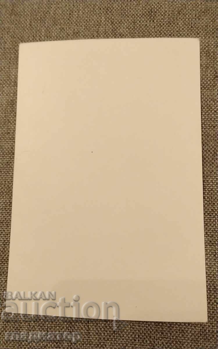 Аукцион Стара картичка семейството на Иван Вазов родословно дърво Аукцион Стара картичка семейството на Иван Вазов родословно дърво