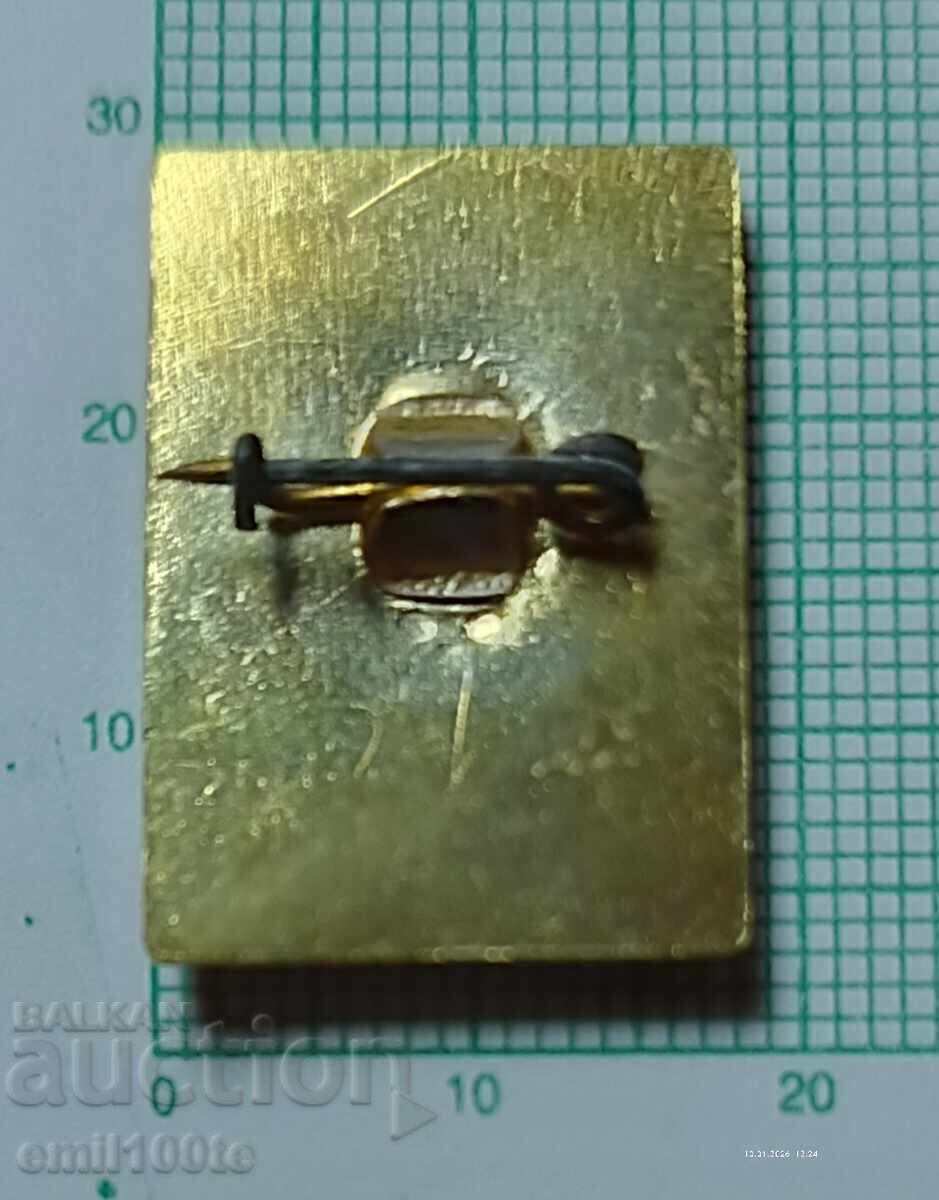 Значка- Туристическо дружество Бачо Киро Дряново - 5