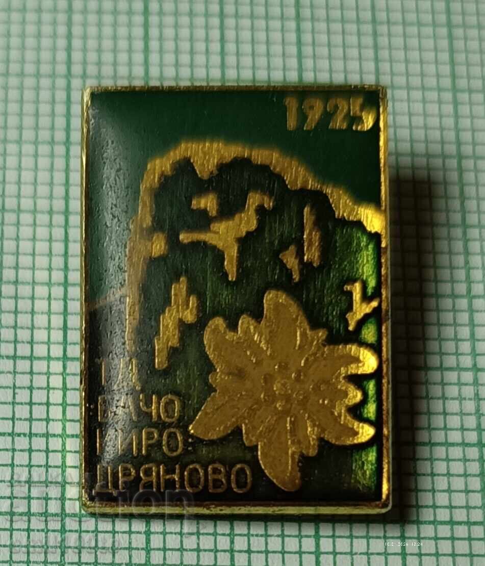 Значка- Туристическо дружество Бачо Киро Дряново