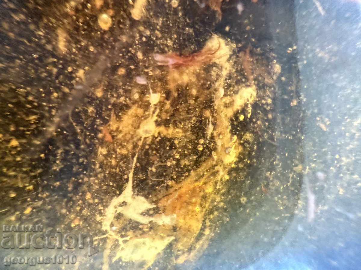 Amber pendant with silver mount №7835 - 5