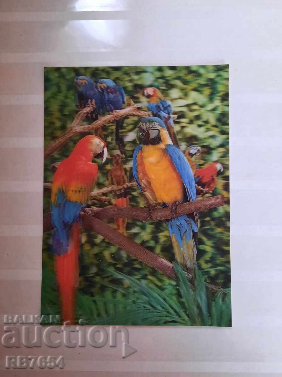 3D стерео картичка