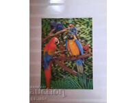 3D στερεοσκοπική καρτ ποστάλ