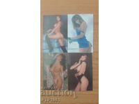 ερωτικά ημερολόγια