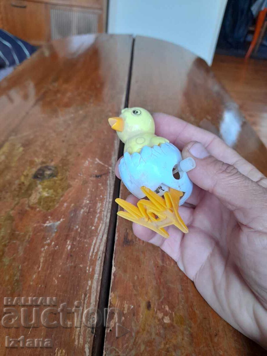 Pui vechi săltăreț - 5