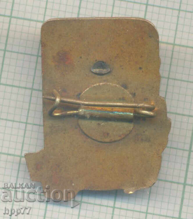 Semn de onoare rar DKMS H. Botev email cu preț € 3.00 | 5.87 BGN